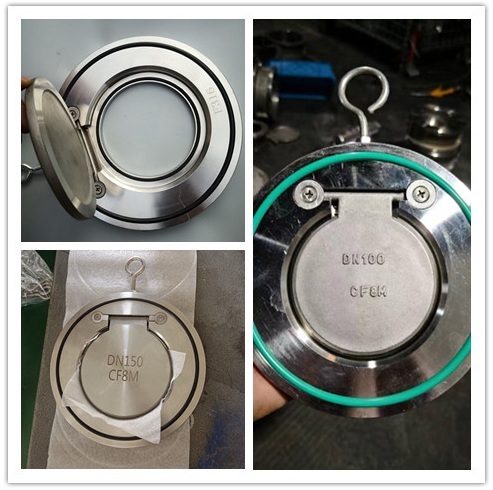 van-1-chieu-la-dang-kep-flap-ss316-dn100-dn150