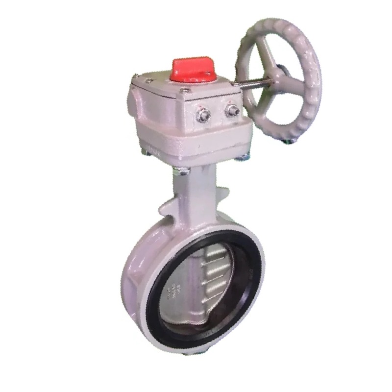 Van bướm 700G Tomoe