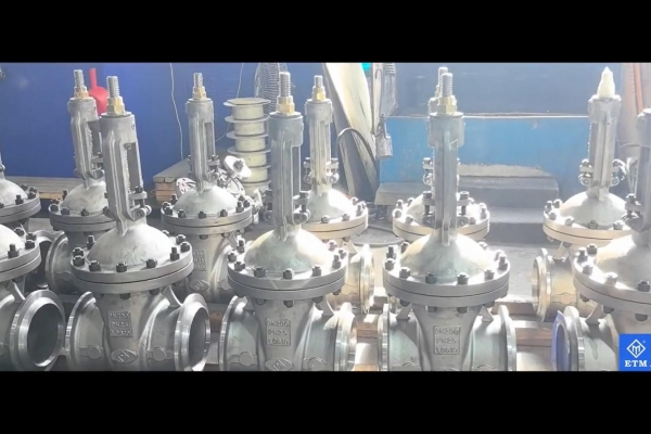 DIN & EN Cast Steel Low Torque Design Gate Valve With Butt Weld End.