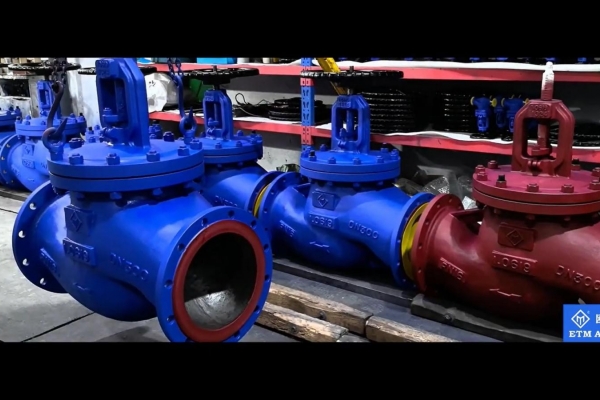 DIN & EN Gland Packing Globe Valve With ETM Armaturen Standard paint RAL 5002.